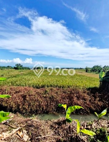 Tanah Dijual Area Strategis di Tibubiyu Tabanan 7300m2 Tanah Dijual Area Strategis di Tibubiyu Tabanan 7300m2
