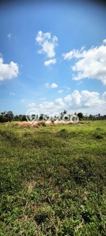 Tanah Kavling Dijual di Pererenan, Badung dengan Luas Tanah 600m2 Tanah Kavling Dijual di Pererenan, Badung dengan Luas Tanah 600m2