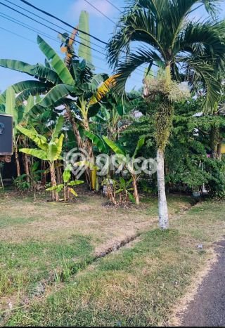 Tanah Kawasan Kediri, Luas 167m2m², Kawasan Prospektif, Dekat Kediri, Tabanan, Tabanan Tanah Kawasan Kediri, Luas 167m2m², Kawasan Prospektif, Dekat Kediri, Tabanan, Tabanan