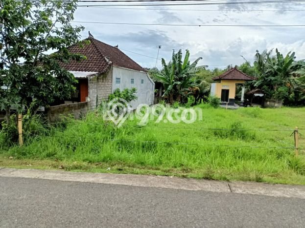 Tanah Kavling Dijual di Jembrana dengan Spesifikasi 215m2 Tanah Kavling Dijual di Jembrana dengan Spesifikasi 215m2