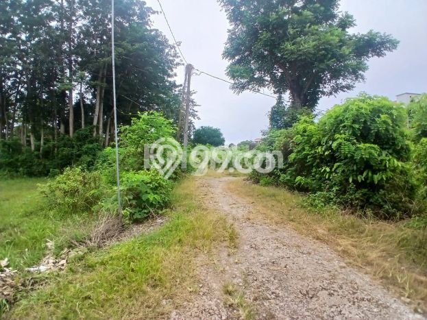 Kavling Tanah Dijual di Kuta Selatan, Badung, Luas 250m2 Area Strategis Kavling Tanah Dijual di Kuta Selatan, Badung, Luas 250m2 Area Strategis