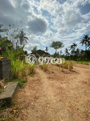 HARGA MENARIK! Tanah di Gerokgak, Luas 2200m², Area Asri, Bebas Longsor HARGA MENARIK! Tanah di Gerokgak, Luas 2200m², Area Asri, Bebas Longsor