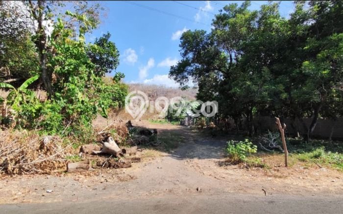 LOKASI STRATEGIS! Tanah Kawasan Temukus, Luas 10000m2m², Kawasan Berkembang, Cocok untuk Investasi LOKASI STRATEGIS! Tanah Kawasan Temukus, Luas 10000m2m², Kawasan Berkembang, Cocok untuk Investasi