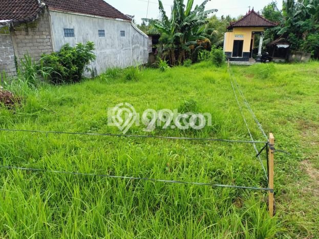 Tanah Kavling Dijual di Jembrana dengan Spesifikasi 215m2 Tanah Kavling Dijual di Jembrana dengan Spesifikasi 215m2