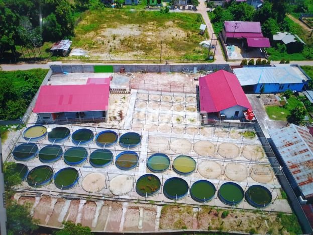 Dijual Tanah 3101m2 di Batakan, Balikpapan Dijual Tanah 3101m2 di Batakan, Balikpapan