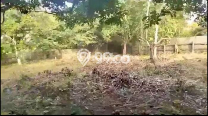 Tanah Kosong Dijual di Balikpapan dengan Area 1000m2 Tanah Kosong Dijual di Balikpapan dengan Area 1000m2