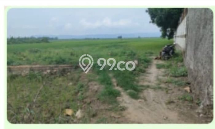 Tanah untuk Dijual Lokasi Purwodadi, Grobogan Luas 1460m2 SHM Tanah untuk Dijual Lokasi Purwodadi, Grobogan Luas 1460m2 SHM
