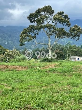 Tanah Komersial Dijual di Cisarua Bogor 300m2 Tanah Komersial Dijual di Cisarua Bogor 300m2