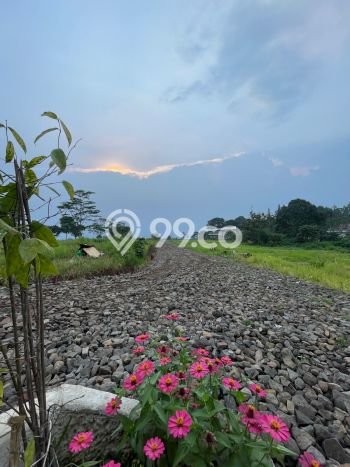 Untuk Dijual Tanah di Cisarua Bogor Luas 300m2 SHM Untuk Dijual Tanah di Cisarua Bogor Luas 300m2 SHM