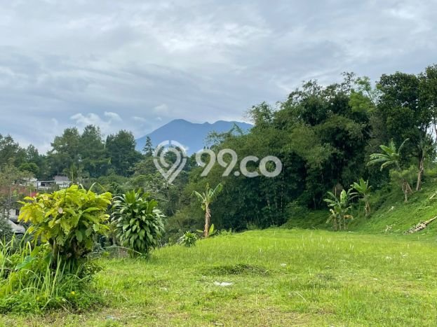 Lahan Investasi Lokasi Megamendung Bogor SHM Lahan Investasi Lokasi Megamendung Bogor SHM