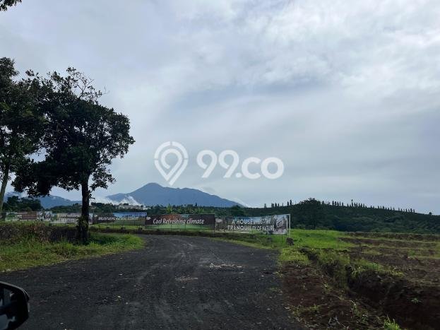 Jarang Ada! Tanah di Cisarua Punya Luas 200m2 SHM Jarang Ada! Tanah di Cisarua Punya Luas 200m2 SHM
