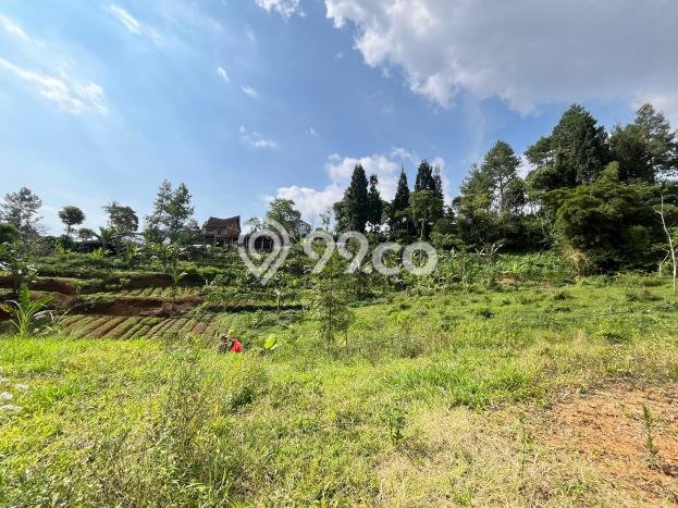 AREA PROSPEKTIF! Tanah di Megamendung, Luas 500m², Akses Transportasi, Kawasan Berkembang AREA PROSPEKTIF! Tanah di Megamendung, Luas 500m², Akses Transportasi, Kawasan Berkembang