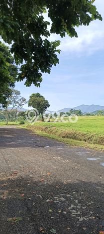 Kavling Tanah Dijual di Cisarua Bogor Spesifikasi 500m2 Kavling Tanah Dijual di Cisarua Bogor Spesifikasi 500m2