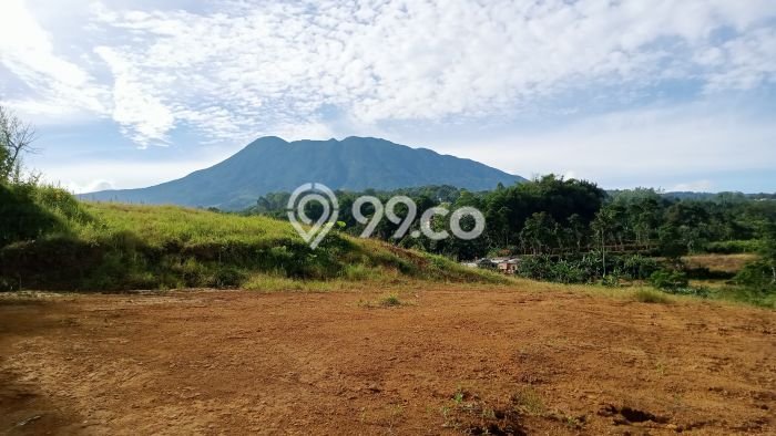Tanah Lokasi Premium di Cisarua, Luas 500m2m², Ideal untuk Bisnis Tanah Lokasi Premium di Cisarua, Luas 500m2m², Ideal untuk Bisnis