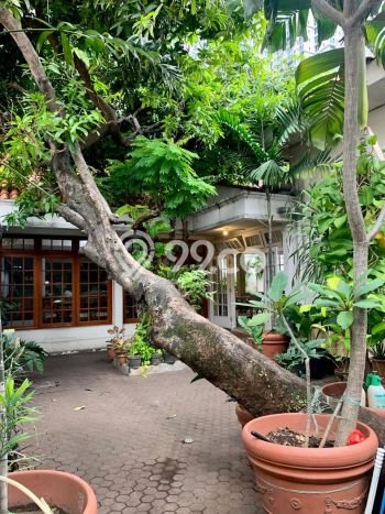 Hunian Super Mewah dengan Akses Paling Strategis di Salemba, Jakarta Pusat Hunian Super Mewah dengan Akses Paling Strategis di Salemba, Jakarta Pusat