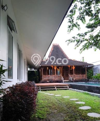 Hunian Ideal dengan LT 600m2 & LB 400m2 Disewakan di Renon Hunian Ideal dengan LT 600m2 & LB 400m2 Disewakan di Renon