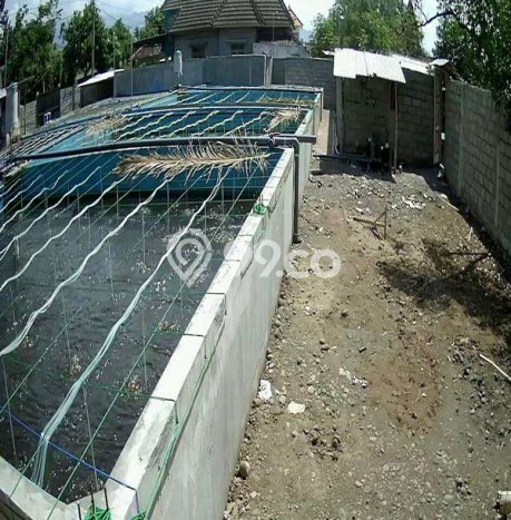 Tanah Kavling untuk Dijual di Situbondo Situbondo 1000m2 Tanah Kavling untuk Dijual di Situbondo Situbondo 1000m2