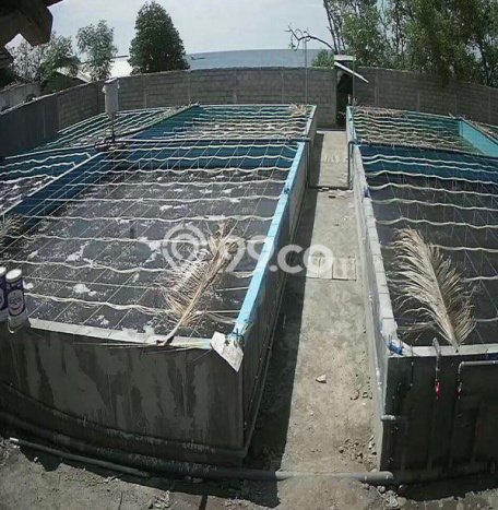 Tanah Kavling untuk Dijual di Situbondo Situbondo 1000m2 Tanah Kavling untuk Dijual di Situbondo Situbondo 1000m2