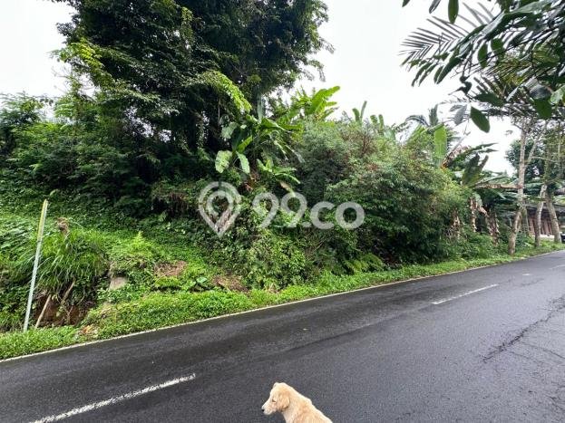 Tanah Dijual Lokasi Gianyar, Gianyar dengan Luas Tanah 1000m2 dan Status SHM Tanah Dijual Lokasi Gianyar, Gianyar dengan Luas Tanah 1000m2 dan Status SHM
