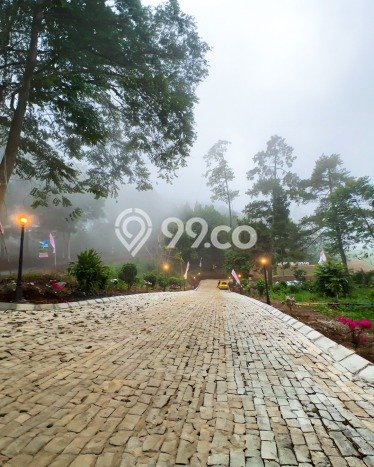Tanah Kavling Dijual di Bogor dengan Spesifikasi 120m2 Tanah Kavling Dijual di Bogor dengan Spesifikasi 120m2