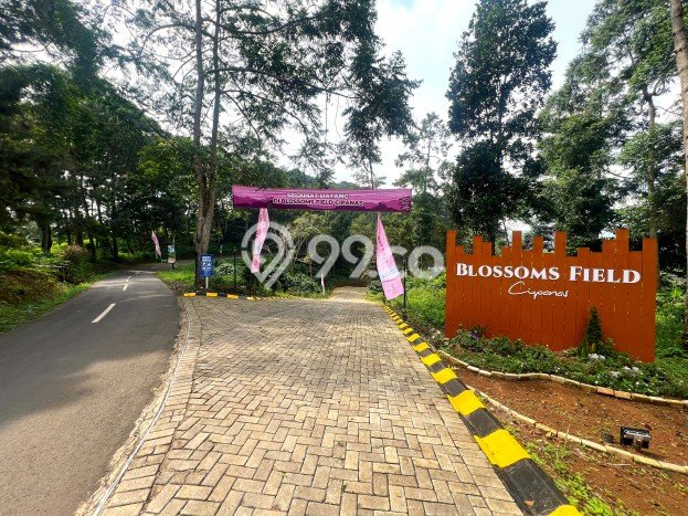 Tanah Kavling Dijual di Bogor dengan Spesifikasi 120m2 Tanah Kavling Dijual di Bogor dengan Spesifikasi 120m2