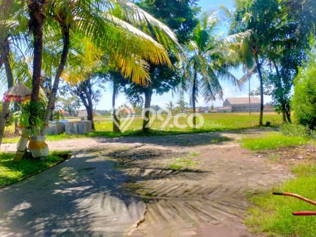 Rumah Terawat 19 KT 20 KM di Lodtunduh, Gianyar Rumah Terawat 19 KT 20 KM di Lodtunduh, Gianyar