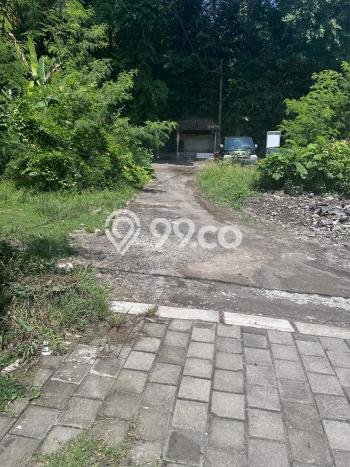 Tanah Disewa Strategis di Denpasar Luas 1450m2 Tanah Disewa Strategis di Denpasar Luas 1450m2