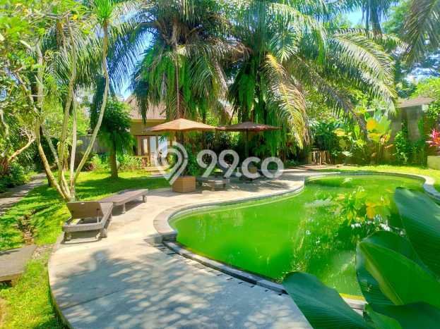 Rumah Terawat 19 KT 20 KM di Lodtunduh, Gianyar Rumah Terawat 19 KT 20 KM di Lodtunduh, Gianyar