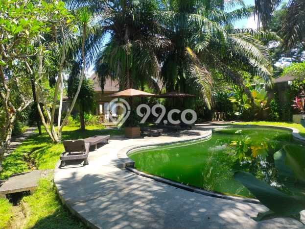 Rumah Terawat 19 KT 20 KM di Lodtunduh, Gianyar Rumah Terawat 19 KT 20 KM di Lodtunduh, Gianyar