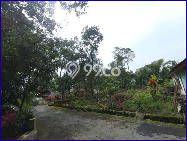 Tanah di Sleman, Sleman Luas 111m2 Dijual Segera Tanah di Sleman, Sleman Luas 111m2 Dijual Segera