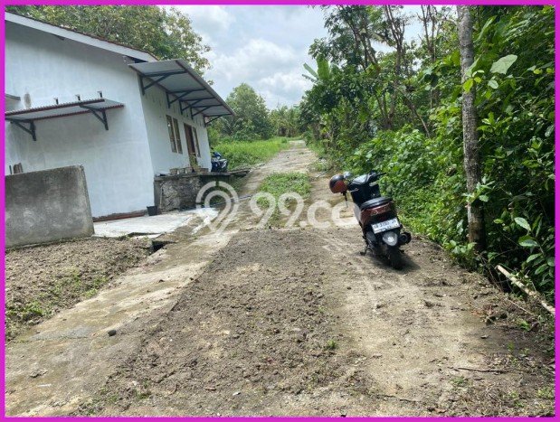 Untuk Dijual Tanah di Sleman Sleman Luas 90m2 SHM Untuk Dijual Tanah di Sleman Sleman Luas 90m2 SHM