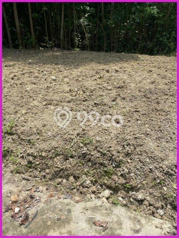 Tanah Dijual Lokasi Sleman, Sleman Luas 90m2 Legalitas Aman Tanah Dijual Lokasi Sleman, Sleman Luas 90m2 Legalitas Aman