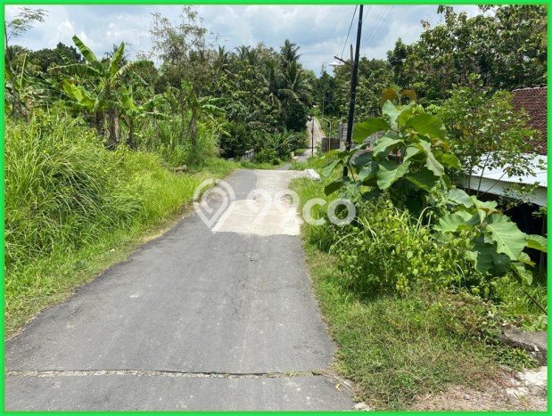 Tanah di Sleman, Sleman Luas 90m2 Dijual Segera Tanah di Sleman, Sleman Luas 90m2 Dijual Segera