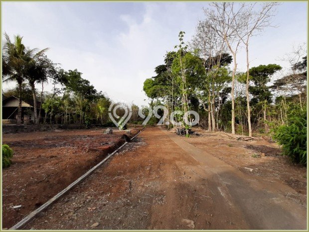 Lahan Strategis di Moyudan Dijual dengan Luas 106m2 Lahan Strategis di Moyudan Dijual dengan Luas 106m2