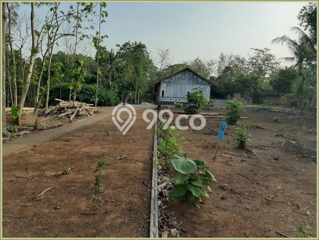 Lahan Strategis di Moyudan Dijual dengan Luas 106m2 Lahan Strategis di Moyudan Dijual dengan Luas 106m2
