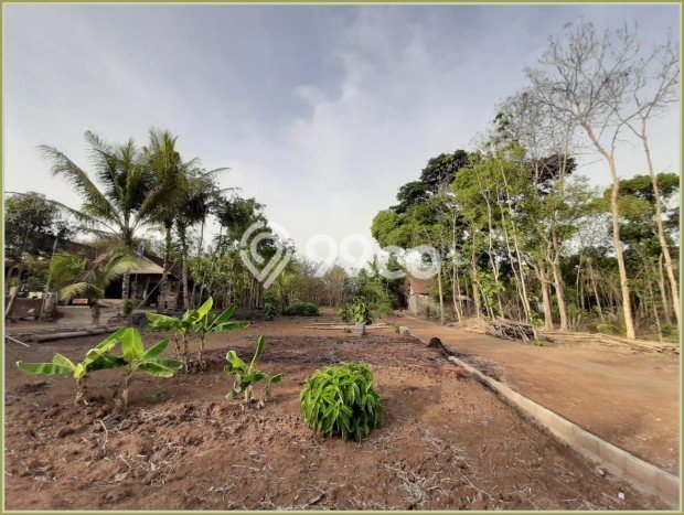 Tanah Strategis Dijual di Moyudan Sleman 106m2 Tanah Strategis Dijual di Moyudan Sleman 106m2