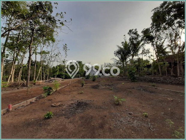 Tanah Dijual Lokasi Moyudan, Sleman dengan Luas Tanah 106m2 dan Status SHM Tanah Dijual Lokasi Moyudan, Sleman dengan Luas Tanah 106m2 dan Status SHM