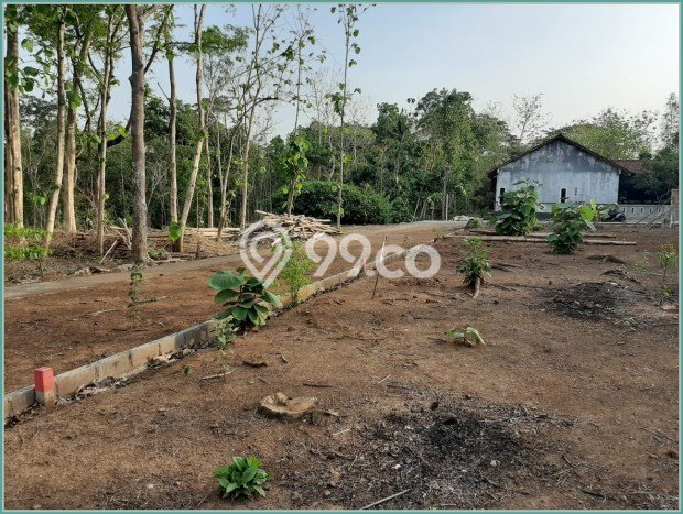 Tanah di Moyudan, Sleman Luas 106m2 Dijual Segera Tanah di Moyudan, Sleman Luas 106m2 Dijual Segera
