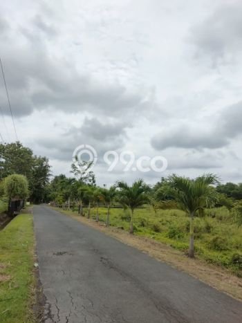 Tanah di Godean, Sleman Luas 125m2 Dijual Segera Tanah di Godean, Sleman Luas 125m2 Dijual Segera
