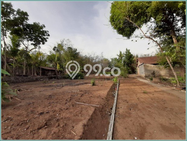Lahan Strategis di Moyudan Dijual dengan Luas 106m2 Lahan Strategis di Moyudan Dijual dengan Luas 106m2
