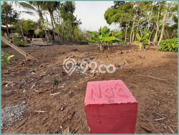 Lahan Strategis di Moyudan Dijual dengan Luas 106m2 Lahan Strategis di Moyudan Dijual dengan Luas 106m2