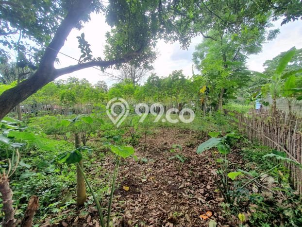 Untuk Dijual Tanah di Bogor Utara Bogor Luas 1910m2 SHM Untuk Dijual Tanah di Bogor Utara Bogor Luas 1910m2 SHM