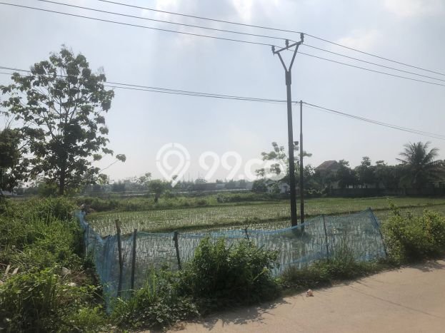 Rumah Terjangkau Dijual Area Kragilan, Serang Harga Rp 360 Juta Rumah Terjangkau Dijual Area Kragilan, Serang Harga Rp 360 Juta