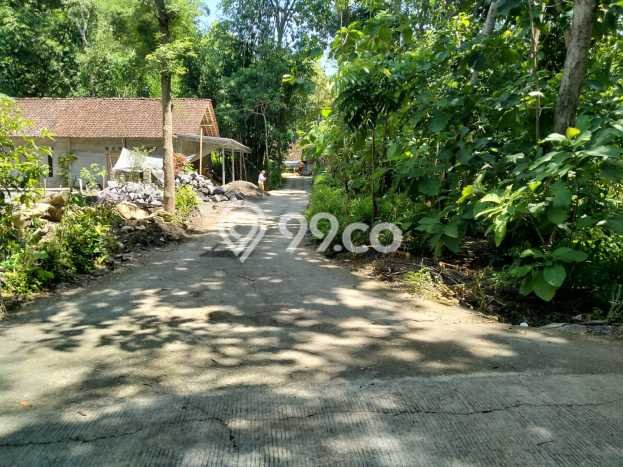 Tanah Dijual Lokasi Lendah, Kulon Progo Luas 1290m2 Legalitas Aman Tanah Dijual Lokasi Lendah, Kulon Progo Luas 1290m2 Legalitas Aman
