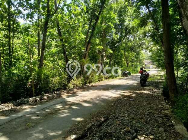 Kavling Tanah Dijual di Lendah, Kulon Progo, Luas 4207m2 Area Strategis Kavling Tanah Dijual di Lendah, Kulon Progo, Luas 4207m2 Area Strategis