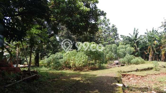 Dijual Tanah 3248m2 di Kemang, Jakarta Selatan Dijual Tanah 3248m2 di Kemang, Jakarta Selatan