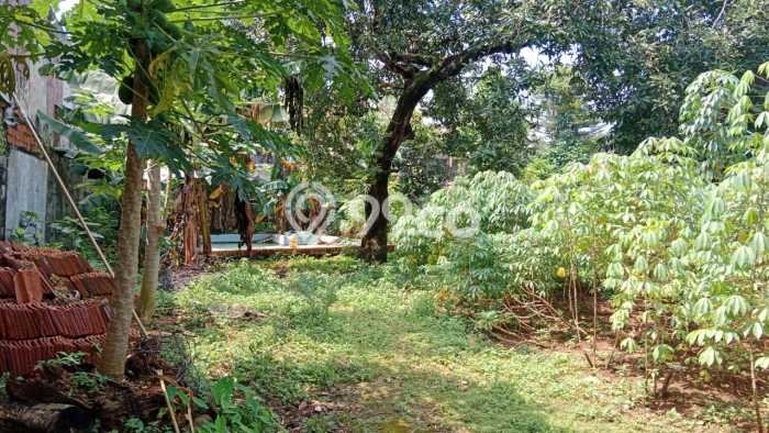 Dijual Tanah 3248m2 di Kemang, Jakarta Selatan Dijual Tanah 3248m2 di Kemang, Jakarta Selatan