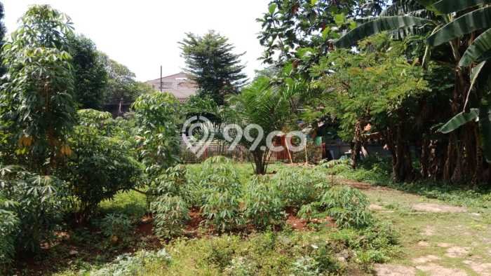 Dijual Tanah 3248m2 di Kemang, Jakarta Selatan Dijual Tanah 3248m2 di Kemang, Jakarta Selatan