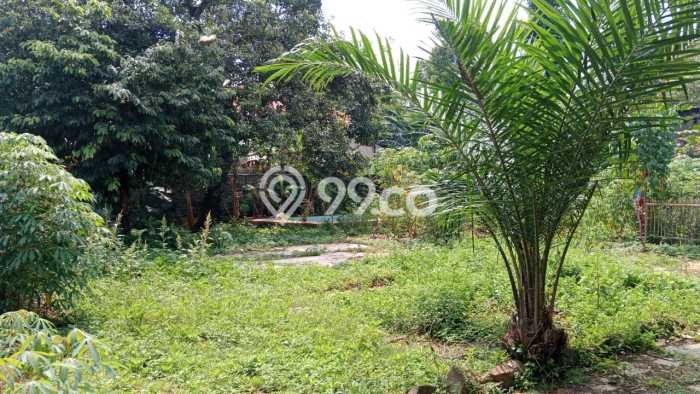 Dijual Tanah 3248m2 di Kemang, Jakarta Selatan Dijual Tanah 3248m2 di Kemang, Jakarta Selatan
