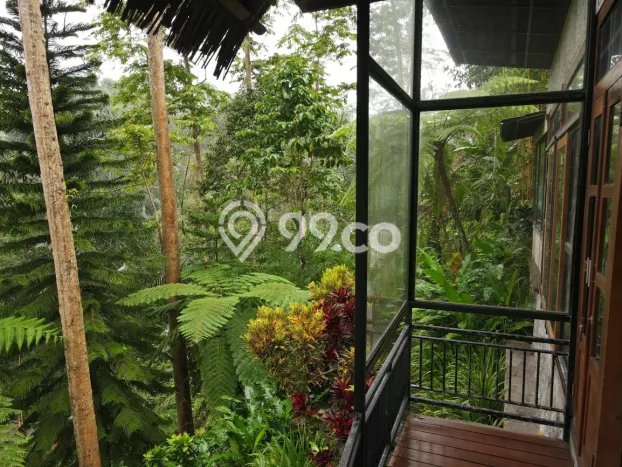 DIJUAL! Vila Kawasan Ubud, Luas 3917m2m², Lokasi Strategis DIJUAL! Vila Kawasan Ubud, Luas 3917m2m², Lokasi Strategis